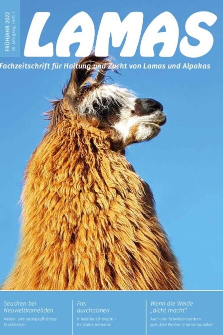 LAMAS_01_22 LAMAS_01_22